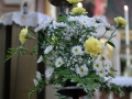 SAM_5623