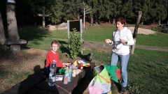 SAM_8804