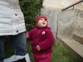 SAM_3906