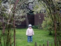 SAM_4145